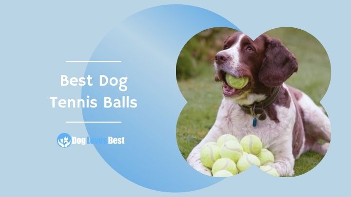 The 7 Best Dog Tennis Balls of 2022: Tested & Reviewed - Dog Loves Best