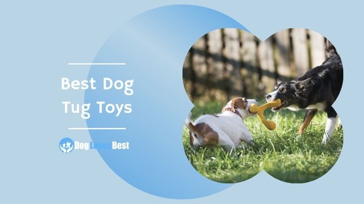 the-10-best-dog-tug-toys-of-2022-tried-tested-picks-dog-loves-best