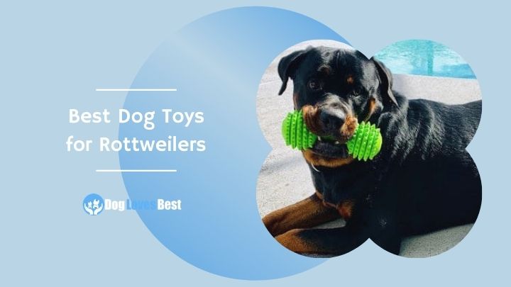 10 Best Dog Toys for Rottweilers In 2022 – Reviews & Top Picks - Dog ...