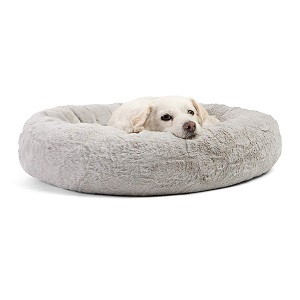 What is the Best Dog Bed? - Dog Loves Best