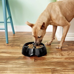 Dogit Go Slow Anti-Gulping Dog Dish
