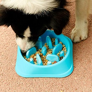 JASGOOD Dog Feeder Slow Eating Pet Bowl